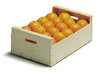 Caja de Naranjas para Zumo 10 Kg