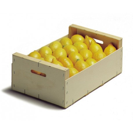 Intentar foso medias Caja de Limones 10 Kg - AGROBOTIGA ALDOVER - Cítricos Guillermo
